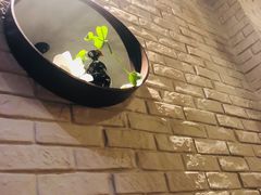-梧桐树下(云锦世家店)