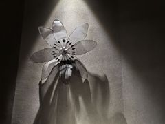 -Love Story爱情故事·养生SPA会所(星都店)