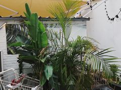 -Eckl’s爱氏热狗(猫街店)