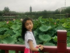 -西海子公园