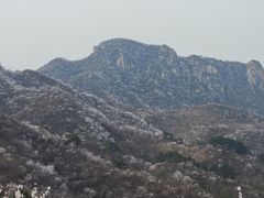 -龙泉峪长城