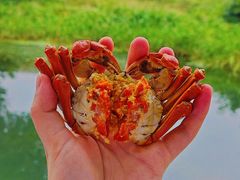 -欢乐蟹庄·精品农家乐(阳澄湖莲花岛店)