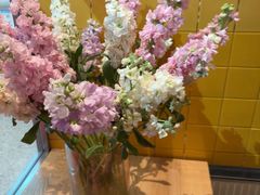 -芭莉与彩虹西餐厅(成都合生汇店)