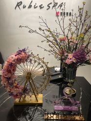 -丽妍雅集 Rubis SPA