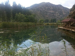android_upload_pic-白河湾生态旅游一条川