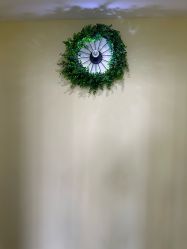 -变美丽半永久纹眉连锁·机器野生眉•洗眉