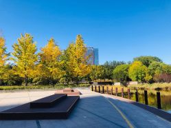 点击看大图 -大望京儿童游乐场