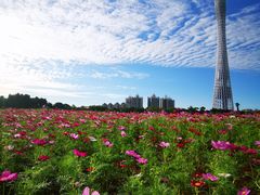 -海心沙亚运公园