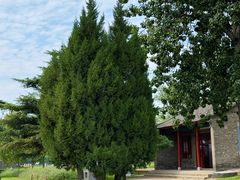 -汉长安城未央宫国家考古遗址公园