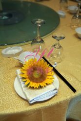 -上海浦东喜来登由由大酒店·宴会厅