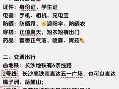 -舜华临武鸭·湖南零食特产(三王街店)