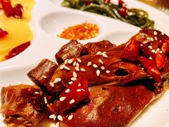 -守柴炉烤鸭(科华中路王府井店)