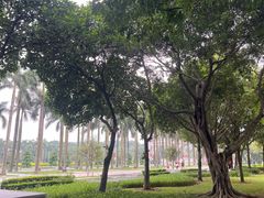 -顺峰山公园