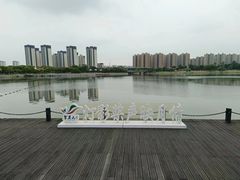 -映月湖中央公园