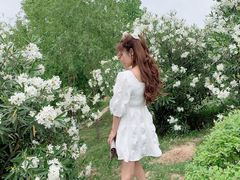 -灞河西岸滨河公园