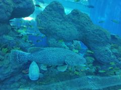 -成都浩海立方海洋公园