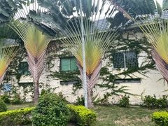 -三亚南山文化旅游区