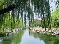 -济南大明湖景区