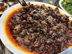 -江湖黑大兔(杨家坪店)