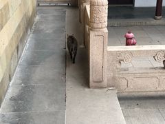 -西园戒幢律寺