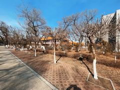 -大乘寺