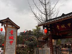 -青城甲(青城山店)