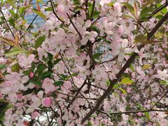 -九里河湿地公园