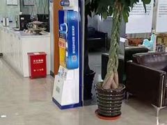 -茂菊口腔连锁(浦东南路店)
