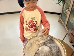 -共舞时光猫咖·狗咖(新街口店)