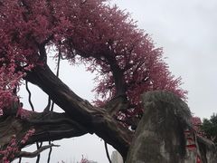 -昌州古城