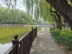 -团结湖公园