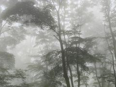 -武当山风景区