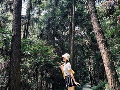 -窦圌山风景区