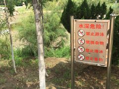 -大港湿地公园