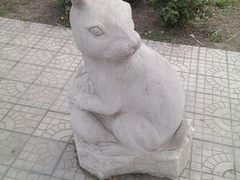 -白洋淀景区