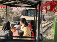 -武汉紫薇都市田园