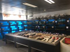-莆鑫海鲜城(浏河店)
