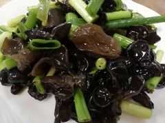 -新疆风味冷水鱼庄(友谊峰路店)