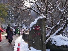 -少华山国家森林公园