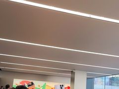 -Apple零售店(中街大悦城店)