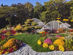 -上海共青森林公园