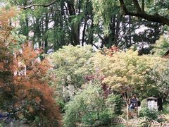 -上海醉白池公园