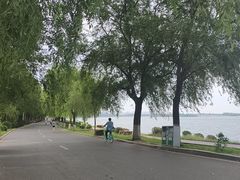 -丁香湖公园