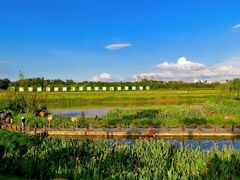 -那考河湿地公园