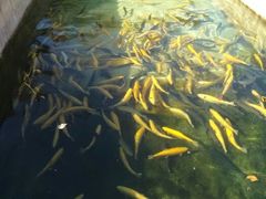 android_upload_pic-北京水岸山吧度假村(雁栖镇店)