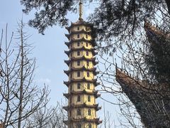 -正觉寺