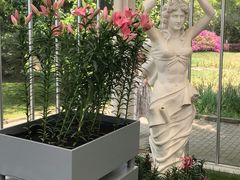 -上海鲜花港