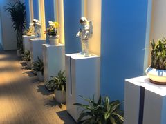 -爱氧森林·日本兴百世SHENPIX微高压氧舱