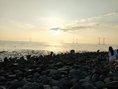 -宝安西湾红树林湿地公园