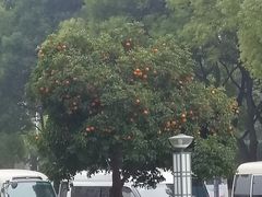 -中共上海市委党校 上海行政学院